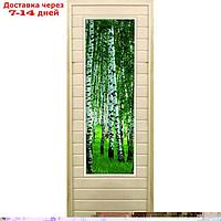 Дверь для бани со стеклом (43*129), "Березки", 170×70см, коробка из осины