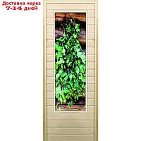 Дверь для бани со стеклом (43*129), "Веник для бани", 170×70см, коробка из осины