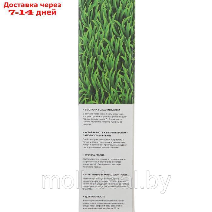 Семена газонной травы БЫСТРЫЙ, 1 кг 2277556 - фото 3 - id-p207533532