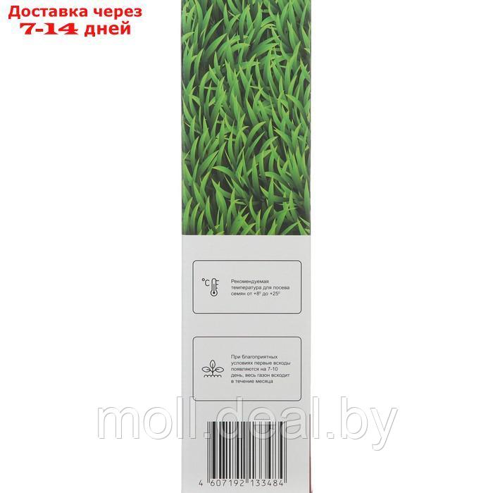 Семена газонной травы БЫСТРЫЙ, 1 кг 2277556 - фото 4 - id-p207533532