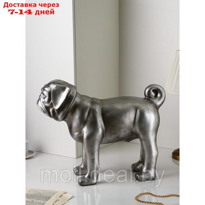 Фигура "Мопс", полистоун, 48 см, серебро, Иран - фото 4 - id-p207538673