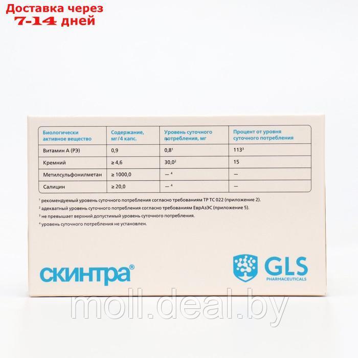 Скинтра GLS чистая кожа без прыщей и черных точек, 60 капсул по 400 мг - фото 2 - id-p207537711