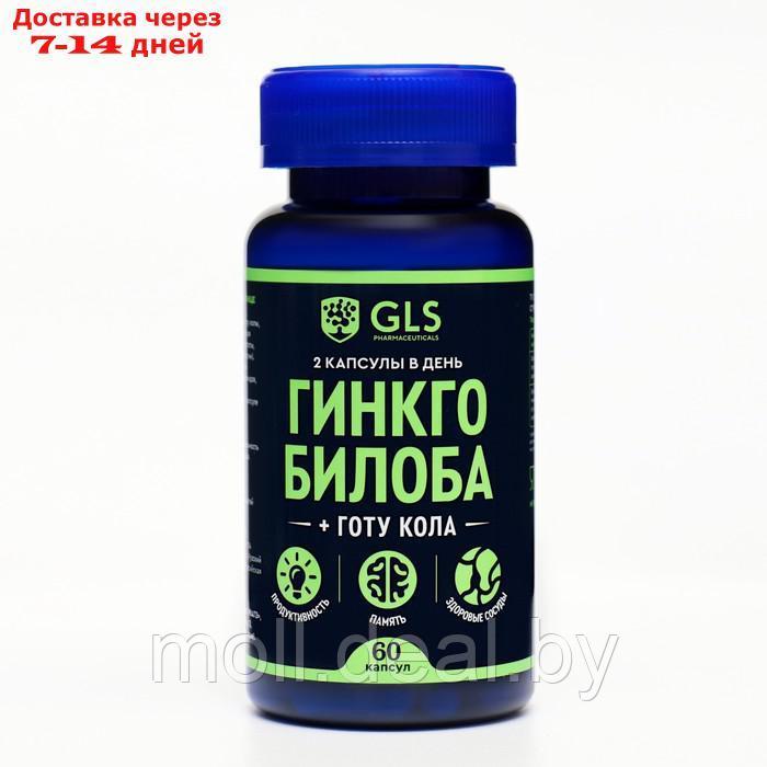 Гинкго Билоба + Готу Кола GLS для мозга, памяти и концентрации, 60 капсул по 380 мг - фото 1 - id-p207537717