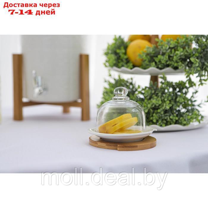 Лимонница фарфоровая BellaTenero, 12,5×11,5×9 см, цвет белый - фото 8 - id-p207108028