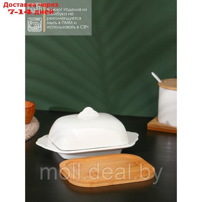Маслёнка фарфоровая на деревянной подставке BellaTenero, 19,5×11×8 см, цвет белый - фото 2 - id-p207108033