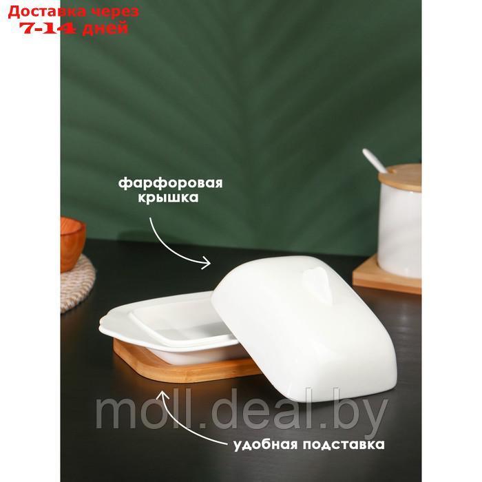 Маслёнка фарфоровая на деревянной подставке BellaTenero, 19,5×11×8 см, цвет белый - фото 3 - id-p207108033