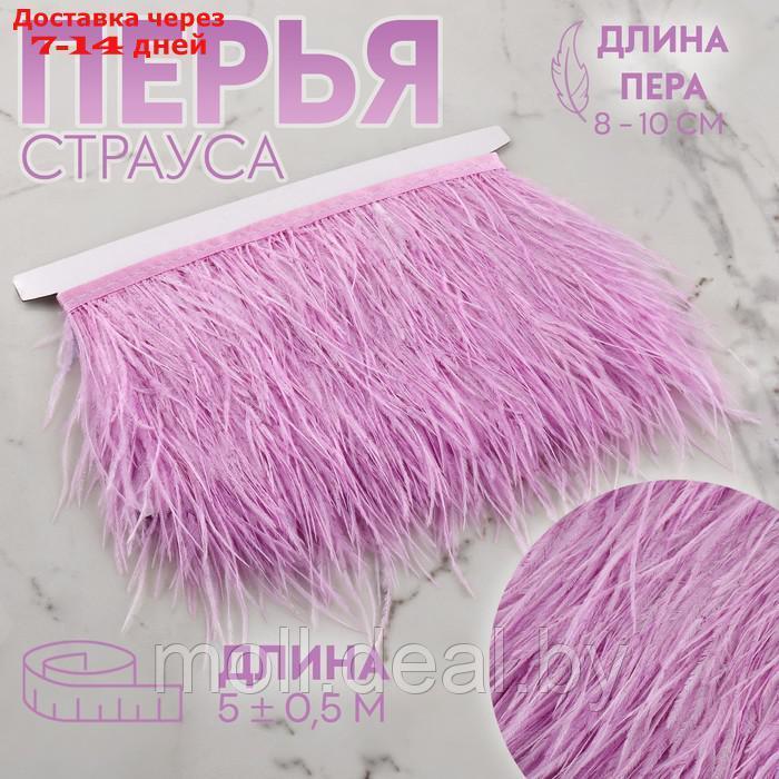 Тесьма с перьями страуса, 8-10 см, 5 ± 0,5 м, цвет сиреневый - фото 1 - id-p207534696