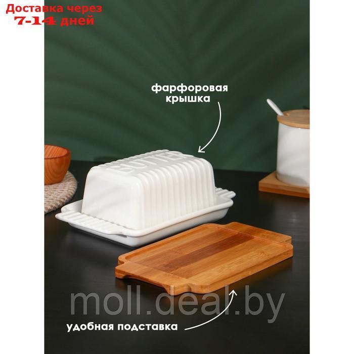 Маслёнка фарфоровая на деревянной подставке BellaTenero, 20,5×12×8 см, цвет белый - фото 2 - id-p207108063