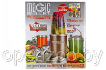 Блендер Nutribullet Pro