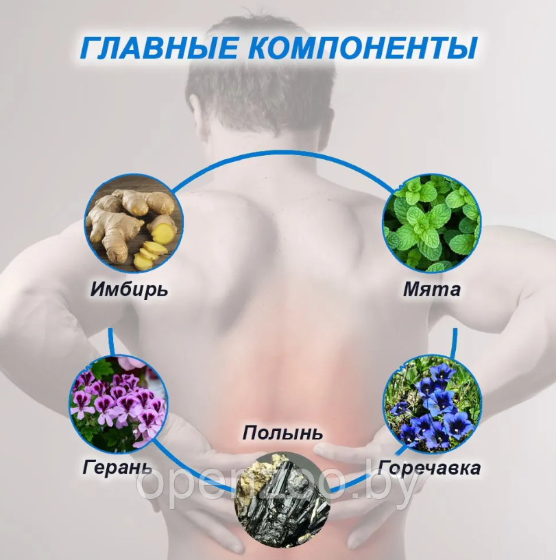 Пластырь обезболивающий для спины Hyllis / патч поясничный травяной 10 шт. в упаковке - фото 6 - id-p207593502