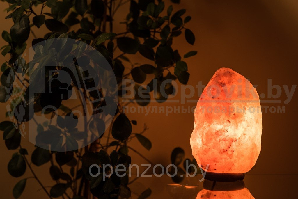 Соляной ионизирующий светильник-ночник Скала 2-3 кг - фото 2 - id-p207595322