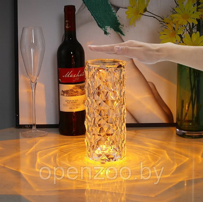 Настольная USB лампа - ночник Rose Diamond table lamp (16 цветов, пульт ДУ) - фото 3 - id-p207593596