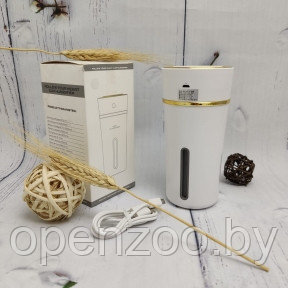 Аромадиффузор (увлажнитель воздуха ароматический) Mini Humidfier  003 (HM-009) , 300ml,220V