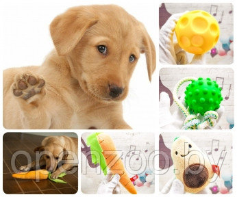 Набор игрушек для собак Счастливый пёс Fancy Pets, 4 в 1. SET1 - фото 1 - id-p207593994