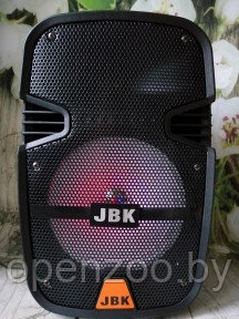 Портативная акустическая система JBK-0813 /FM/SD/USB Динамик 8