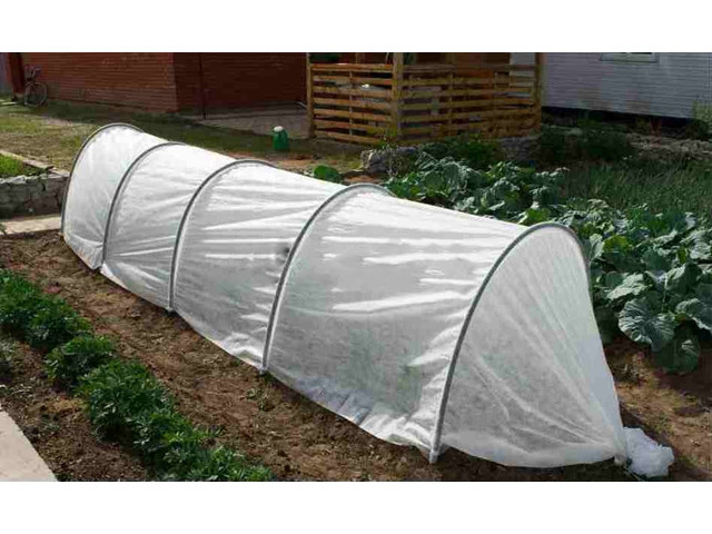 Парник Стандарт 8м