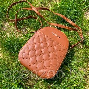 Женская сумочка через плечо BAELLERRY Show You 2501 Светло-коричневая - фото 1 - id-p207593736