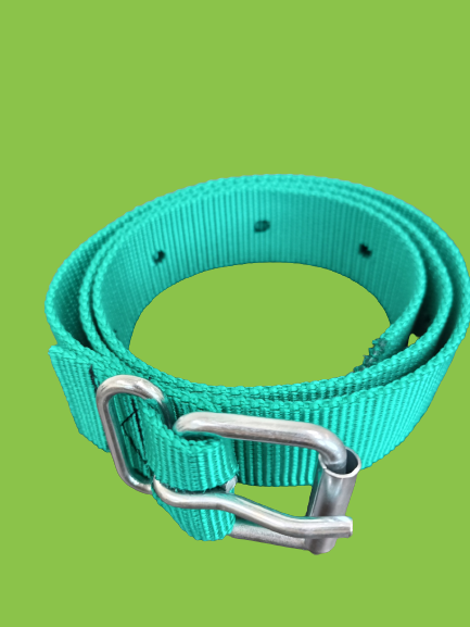 Ошейник плотный для КРС на ременной пряжке без люверсов зеленый, красный, синий, желтый