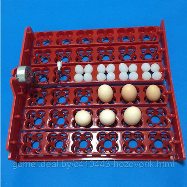 Механизм переворота яиц для инкубатора на 36\144 яиц ЛТ2 с мотором - фото 4 - id-p207657676
