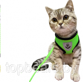 Шлейка прогулочная с поводком для собак и кошек мелких и средних пород Pet Leash / Дышащий жилет для животных - фото 1 - id-p207713128