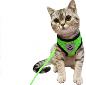 Шлейка прогулочная с поводком для собак и кошек мелких и средних пород Pet Leash / Дышащий жилет для животных - фото 1 - id-p207713411