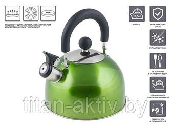 Чайник со свистком, нержавеющая сталь, 2.5 л, серия Holiday, зеленый металлик, PERFECTO LINEA (Общий