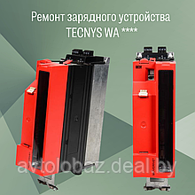 Ремонт зарядного устройства  TECNYS WA **** /  GM Electric