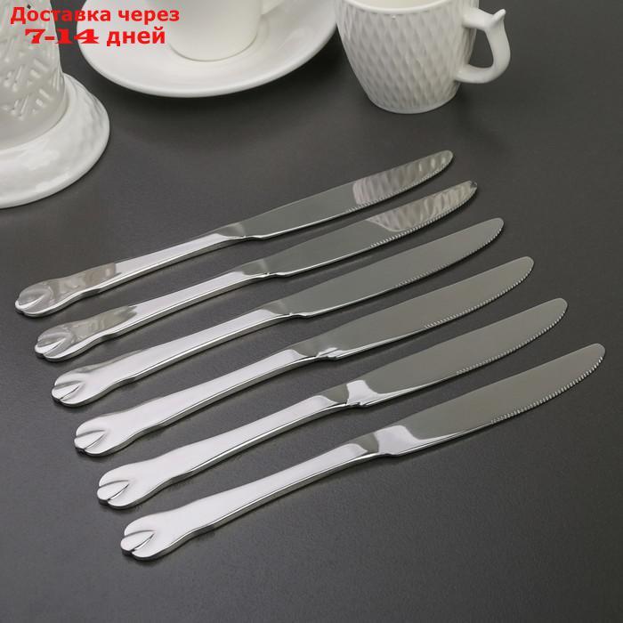 Набор ножей столовых Доляна "Капля", 23 см, 6 шт - фото 1 - id-p207715886