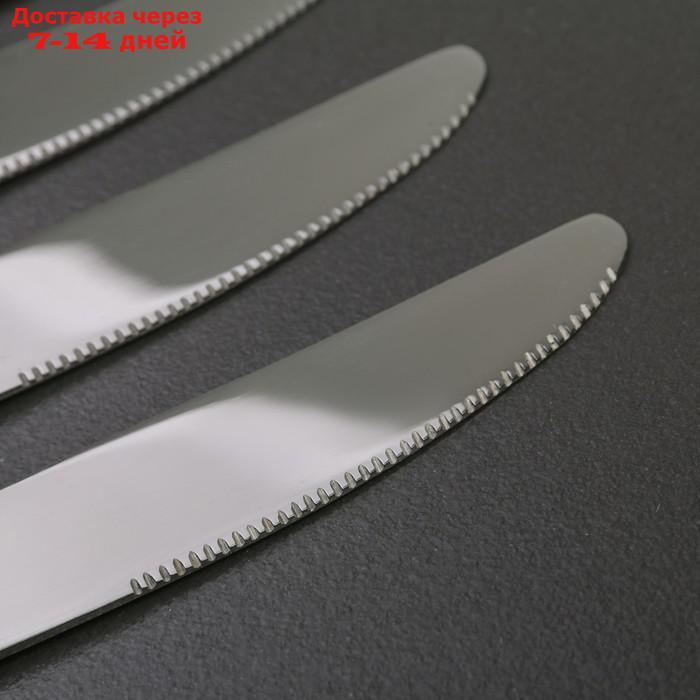 Набор ножей столовых Доляна "Капля", 23 см, 6 шт - фото 2 - id-p207715886