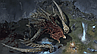 Игровой диск Дьябло IV | Diablo 4 для Sony PS4 (Русская версия) Озвучка!, фото 4