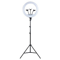 Светодиодная кольцевая лампа RL-18 Soft Ring Light 45см 55Вт с пультом, штативом и сумкой