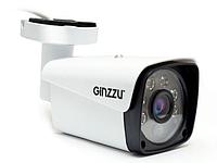 IP камера Ginzzu HIB-5301A