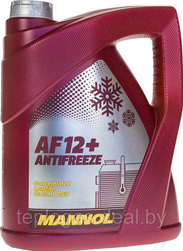 Mannol антифриз концентрат AF12+ 5литр (5.6 кг) - фото 1 - id-p207901127