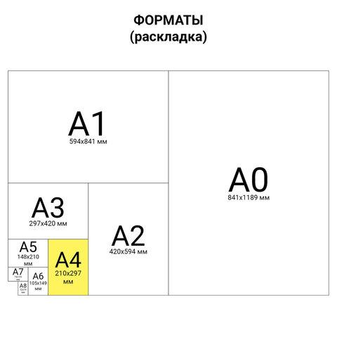 Обложки пластиковые для переплета, А4, КОМПЛЕКТ 100 шт., 300 мкм, синие, BRAUBERG - фото 8 - id-p207914585