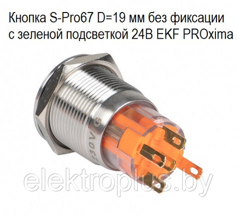 Кнопка S-Pro67 с подсветкой без фиксации D=19 мм 230В IP67 EKF PROxima, фото 2
