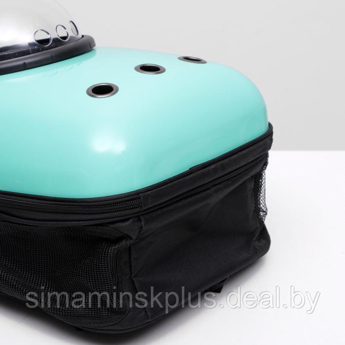 Рюкзак для переноски животных с окном для обзора, 32 х 22 х 43 см, мятный - фото 8 - id-p207963639