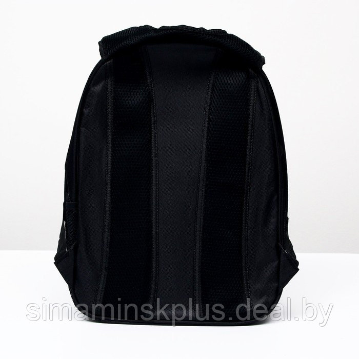 Рюкзак для переноски животных "Лев", с окном для обзора, 32 х 25 х 42 см, голубой - фото 5 - id-p207963643