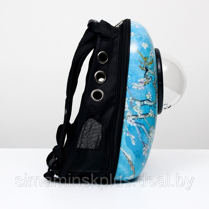 Рюкзак для переноски животных "Лапки", с окном для обзора, 32 х 25 х 42 см, голубой - фото 2 - id-p207963652