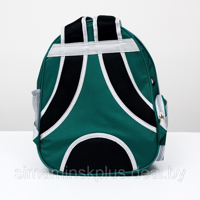 Рюкзак для переноски животных, прозрачный, 31 х 28 х 42 см, сине-зелёный - фото 4 - id-p207963657