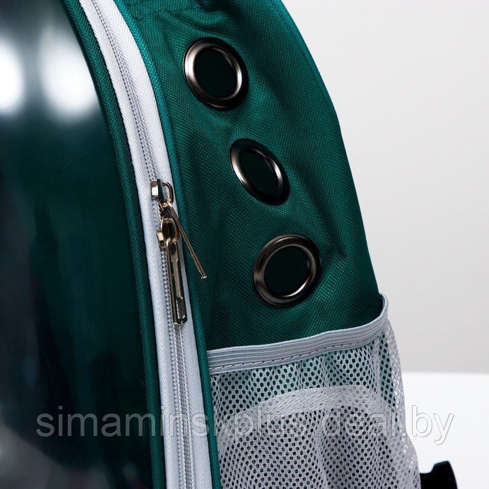 Рюкзак для переноски животных, прозрачный, 31 х 28 х 42 см, сине-зелёный - фото 5 - id-p207963657