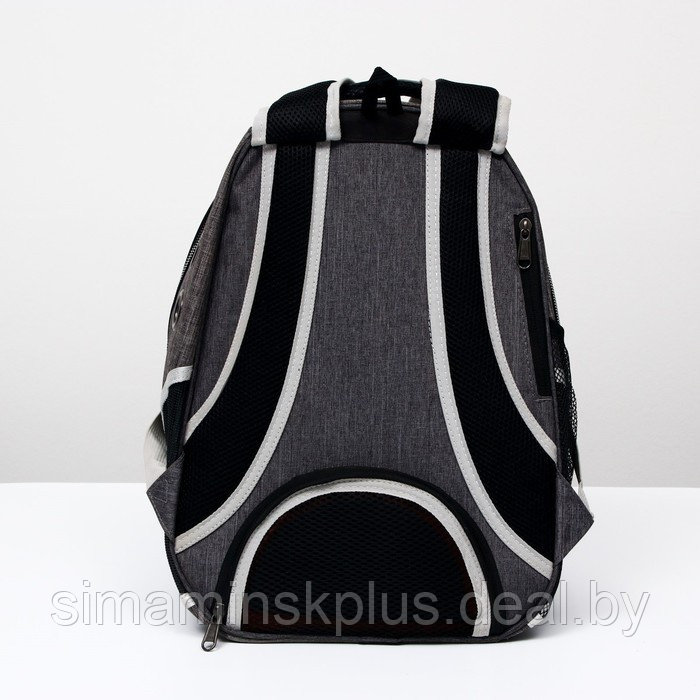 Рюкзак для переноски животных прозрачный, 31 х 28 х 42 см, голубой - фото 4 - id-p207963660