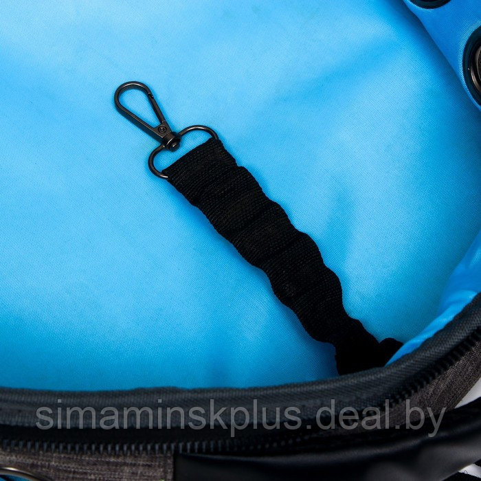 Рюкзак для переноски животных прозрачный, 31 х 28 х 42 см, голубой - фото 8 - id-p207963660