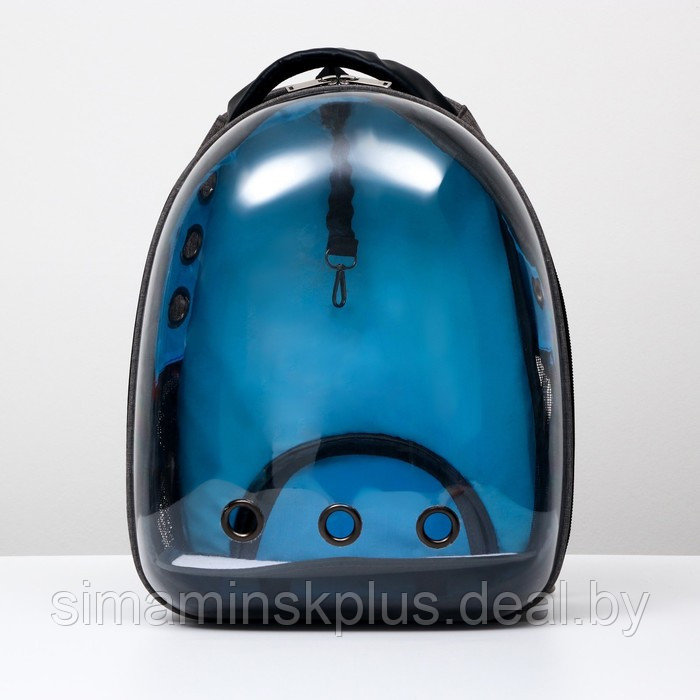 Рюкзак для переноски животных прозрачный, 31 х 28 х 42 см, голубой - фото 10 - id-p207963660