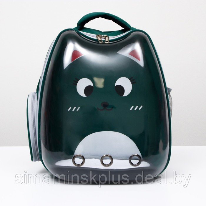 Рюкзак для переноски животных "Котик", прозрачный, 34 х 25 х 40 см, зелёный - фото 1 - id-p207963662