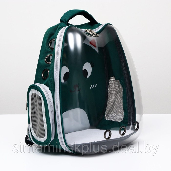 Рюкзак для переноски животных "Котик", прозрачный, 34 х 25 х 40 см, зелёный - фото 3 - id-p207963662