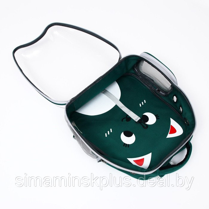 Рюкзак для переноски животных "Котик", прозрачный, 34 х 25 х 40 см, зелёный - фото 7 - id-p207963662