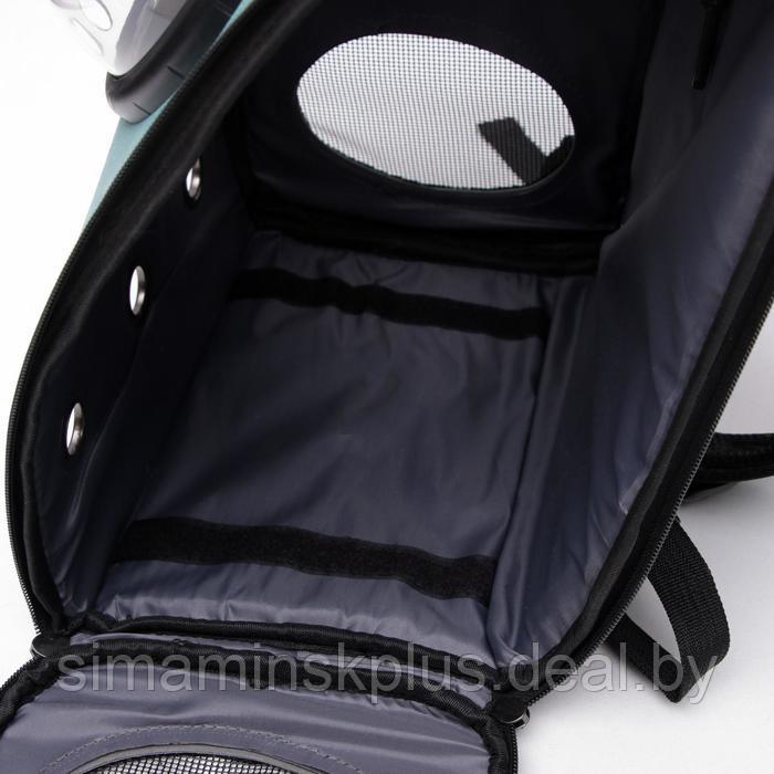 Рюкзак для переноски животных "Элеганс", с окном для обзора, 32 х 18 х 37 см, бирюзовый - фото 10 - id-p207963663