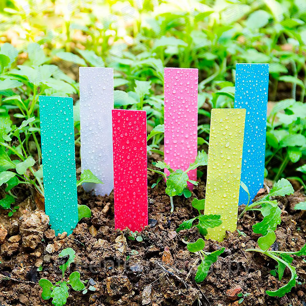 Набор садовых меток с карандашом, уп. 20 шт., 4 цвета - фото 5 - id-p207970847