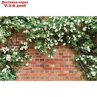 Фотобаннер, 250 × 150 см, с фотопечатью, люверсы шаг 1 м, "Белые цветы"