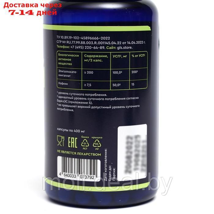 Экстракт "Зеленый чай" GLS, 60 капсул по 400 мг - фото 3 - id-p207939794